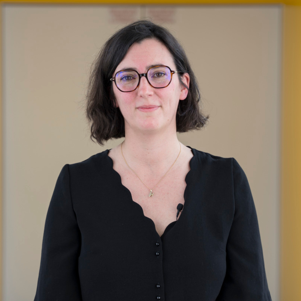 Флор де Ламаз