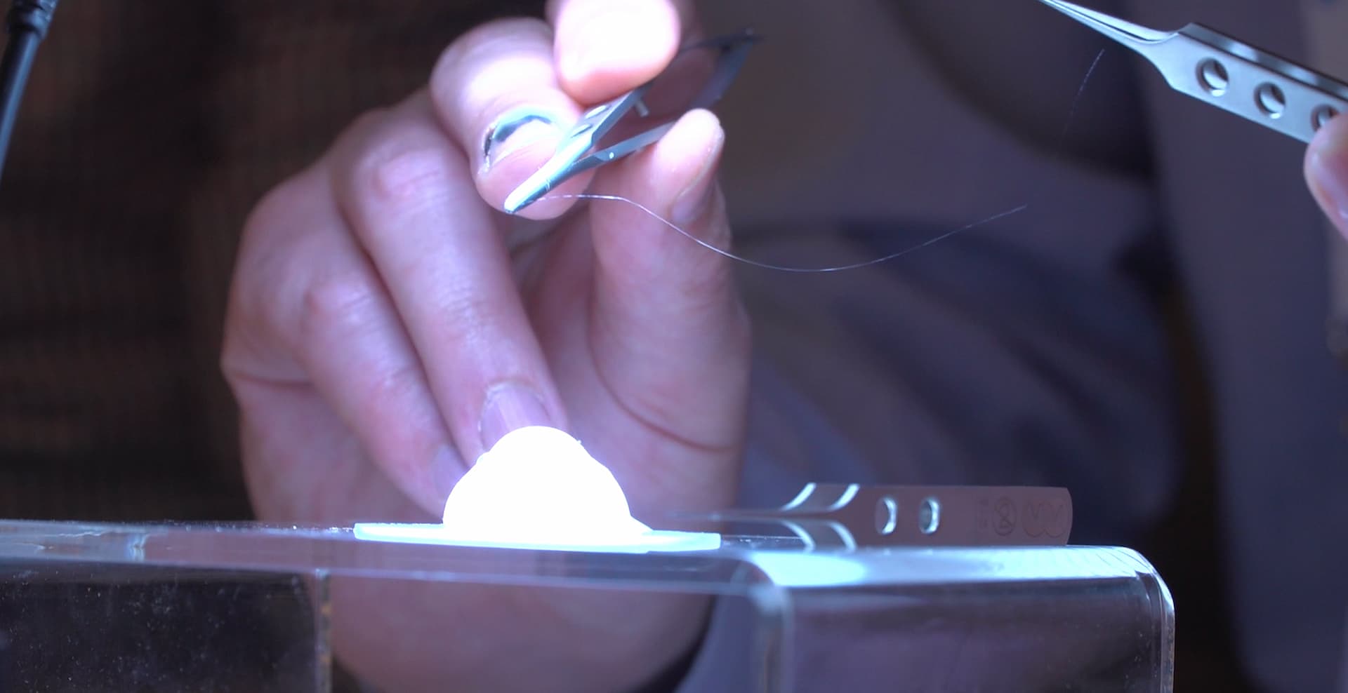 Образование