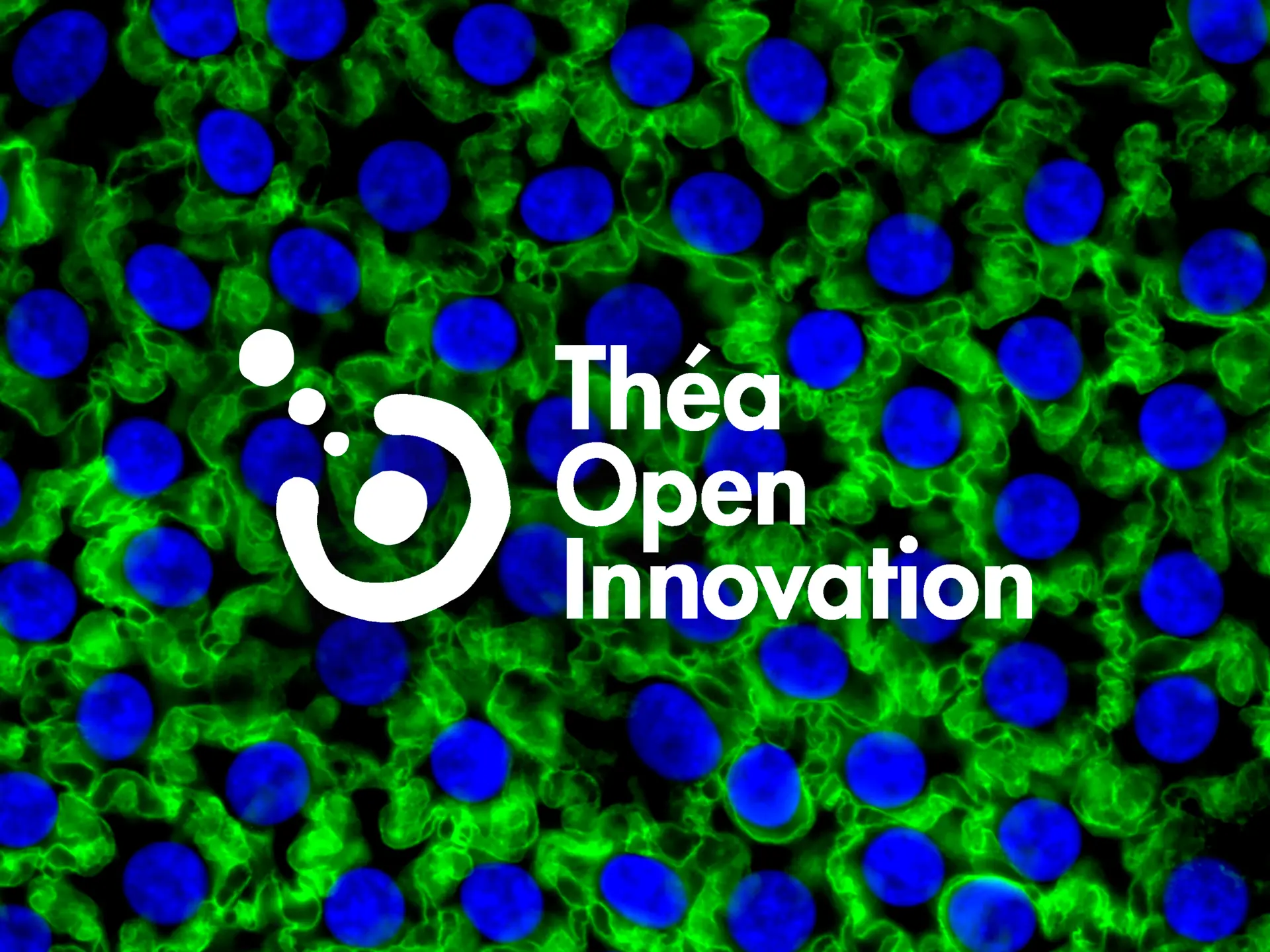 Théa Open Innovation, структура, посветена на отворените иновации